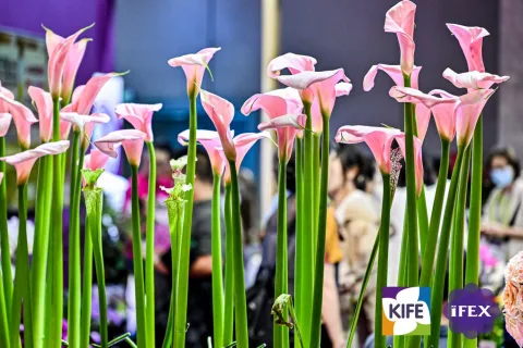 展会现场 3