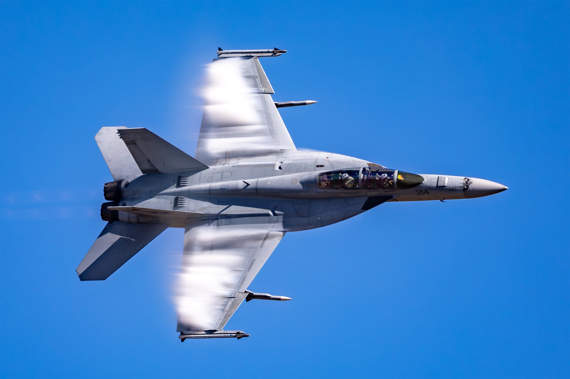 Avalon Australian International Airshow 图片 2