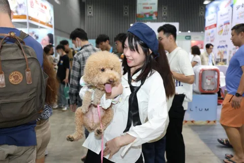 展会现场 12
