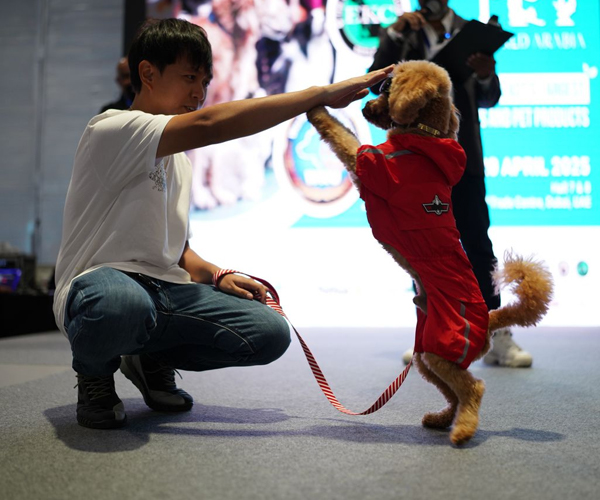 展会现场 5