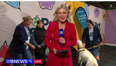 The Pet Show Melbourne 图片 4