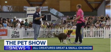 The Pet Show Melbourne 图片 5