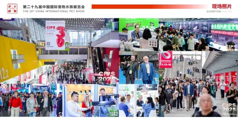 展会现场 1