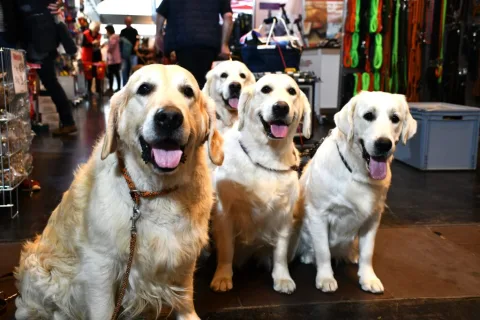 展会现场 3