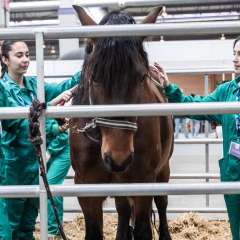 FIGAN - FIMA GANADERA - International Animal Production Show