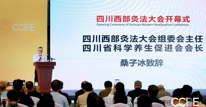 The Chengdu China Beauty Expo (Spring) 图片 4