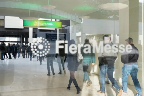 Onsite image 3