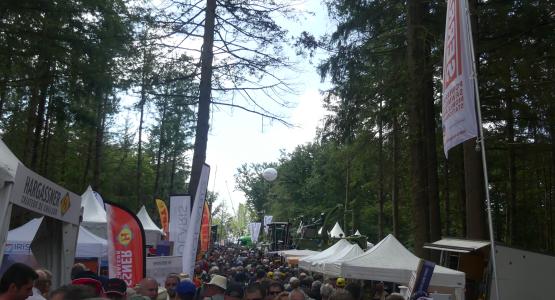 Euroforest
