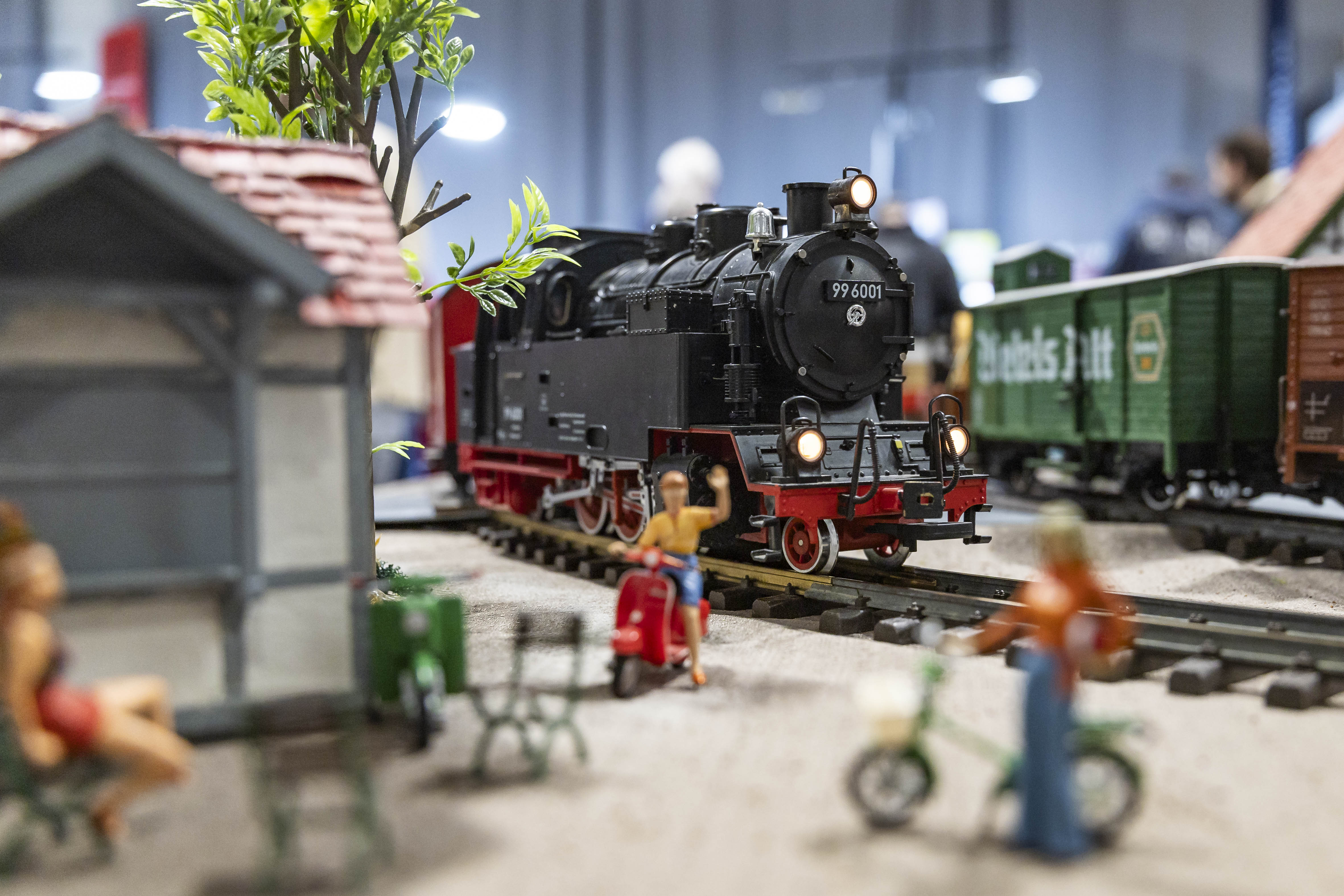 Modell Leben Erfurt