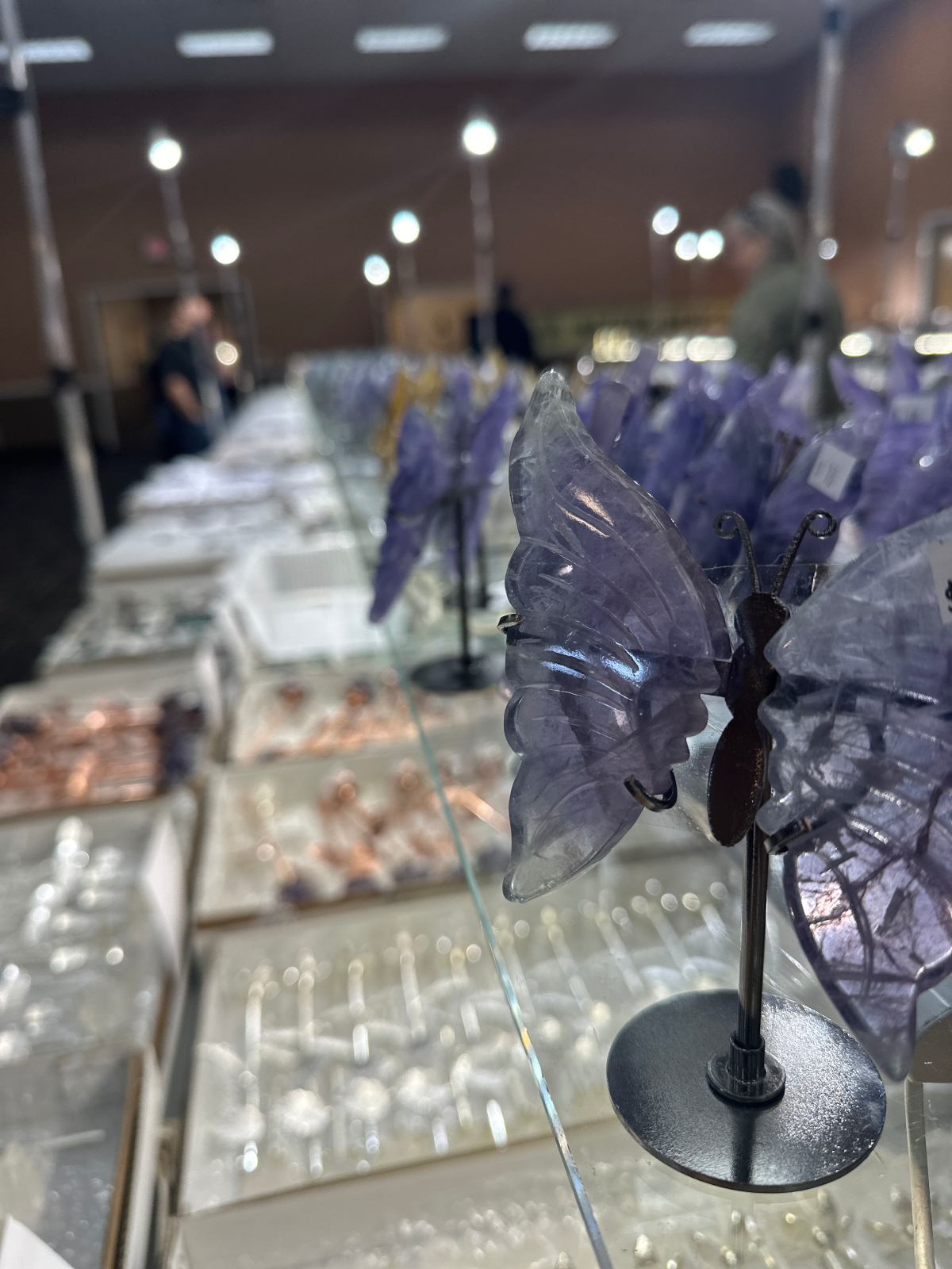 展会现场 1