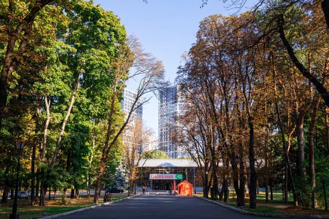 Onsite image 1