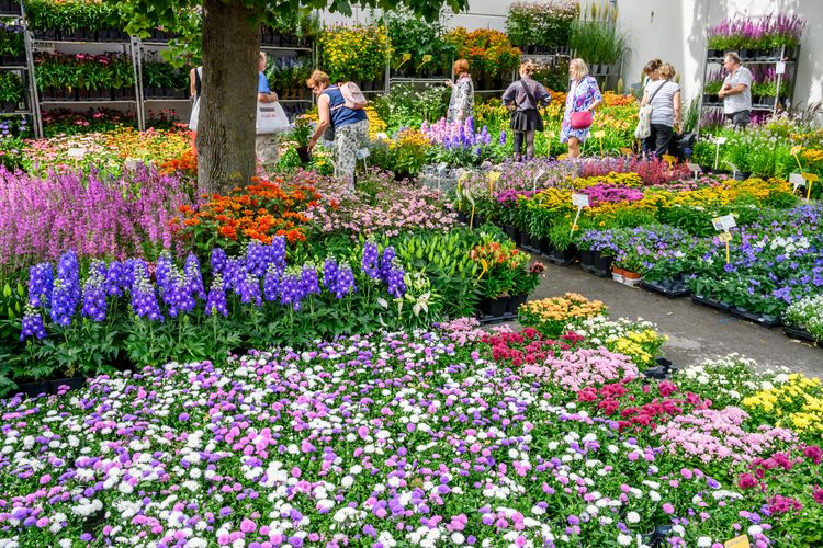 Int. Gartenbaumesse Tulln 图片 3