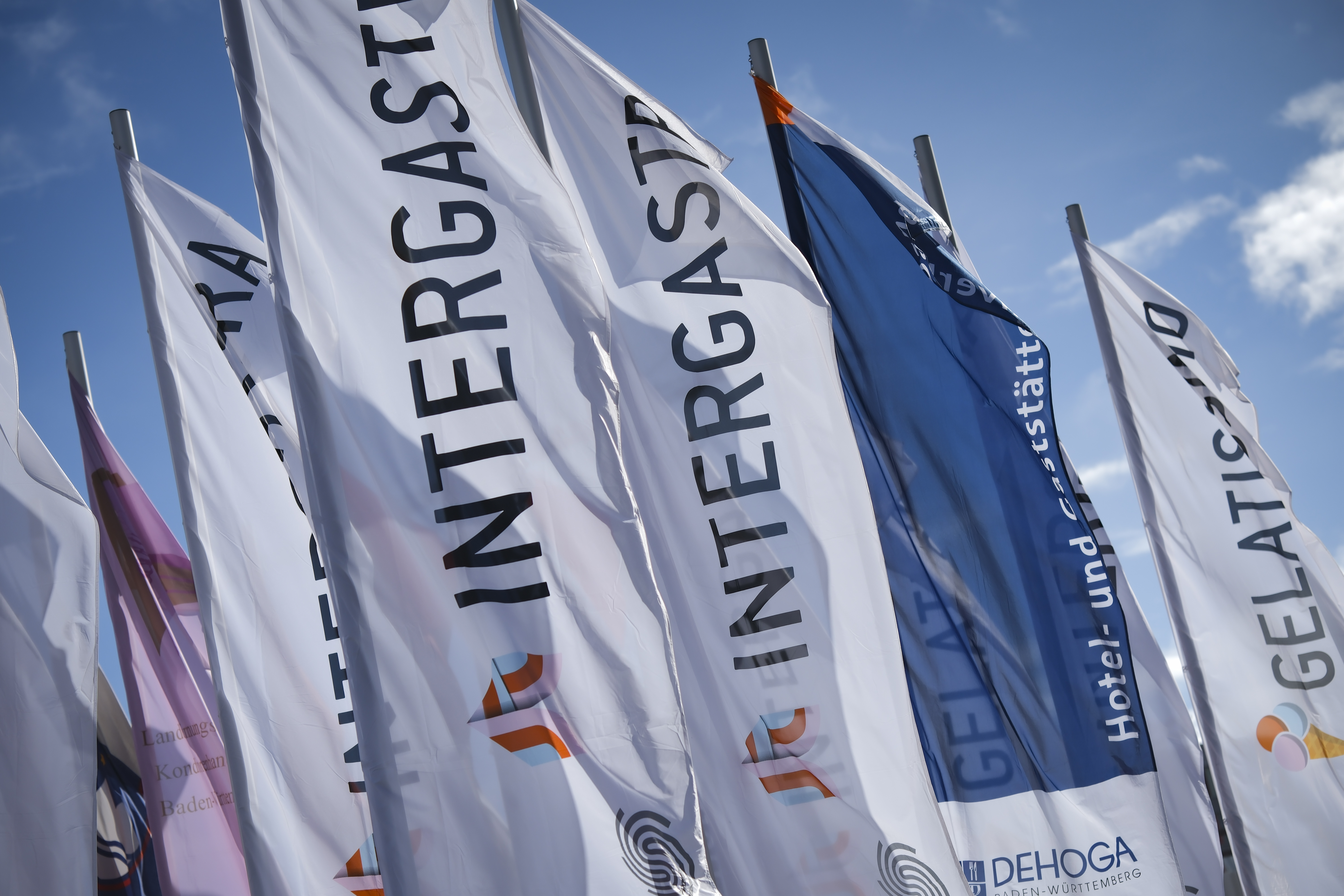 INTERGASTRA 图片 4