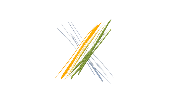 XLeisure 2027