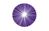 AAO 2026