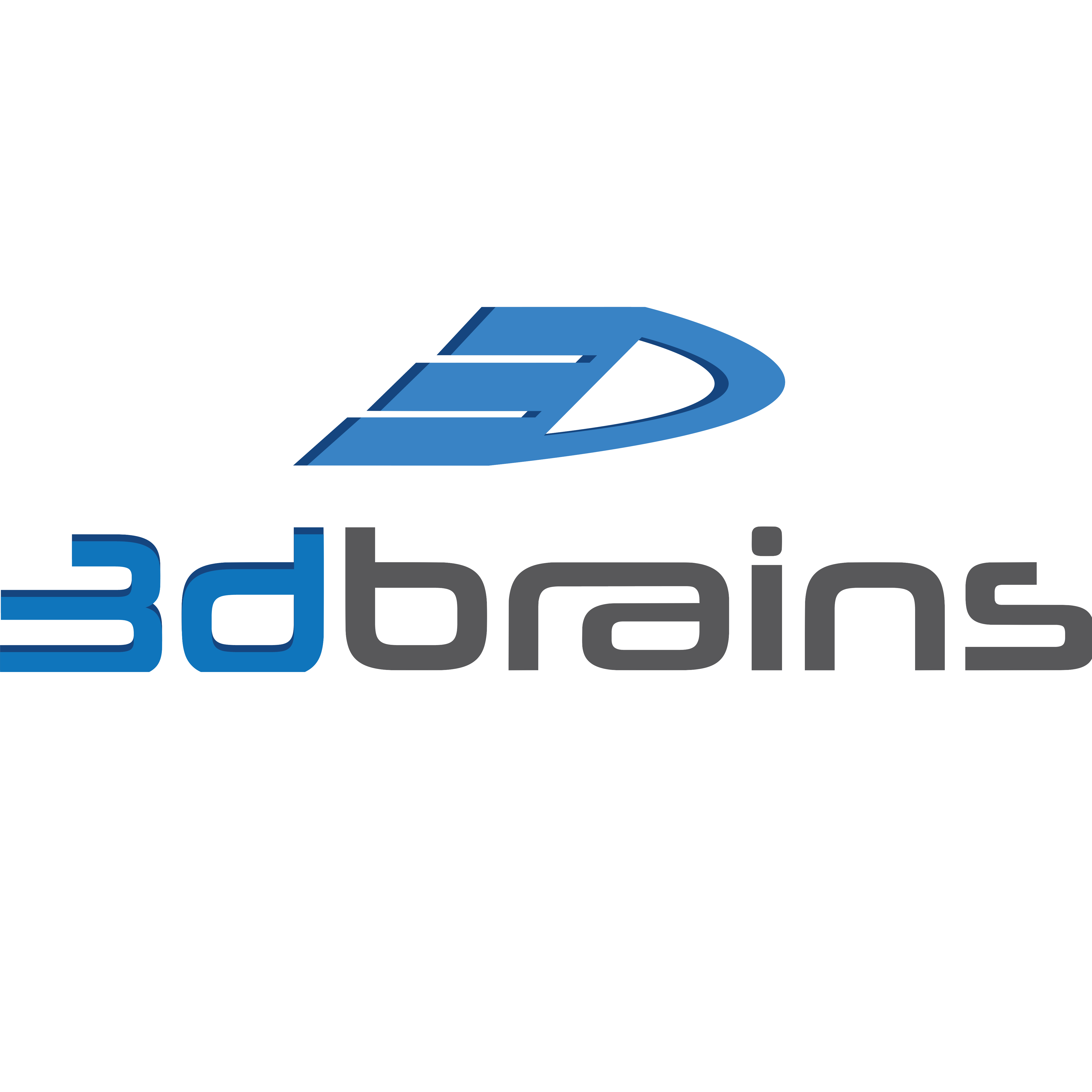 3DBRAINS PTE LTD