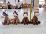 Chuzhou Greenery Toys Co Ltd